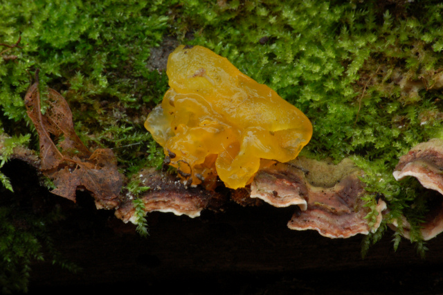 Criticatemi pure senza piet�!